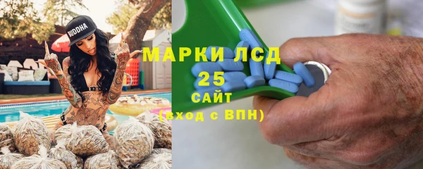 ПСИЛОЦИБИНОВЫЕ ГРИБЫ Алексин