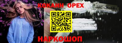 твердый Кингисепп