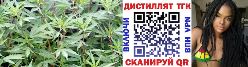 гидра онион  Краснознаменск  Дистиллят ТГК жижа  купить наркотик 