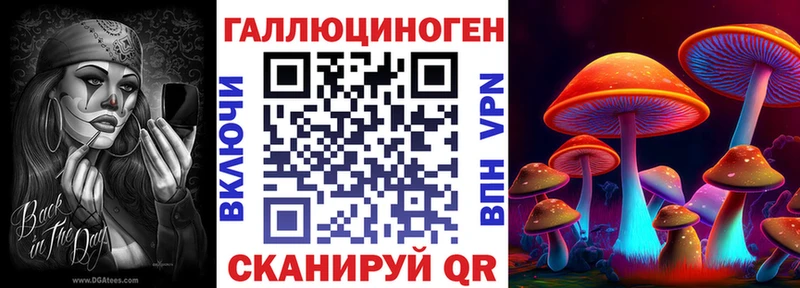Псилоцибиновые грибы GOLDEN TEACHER  кракен как зайти  Краснознаменск 