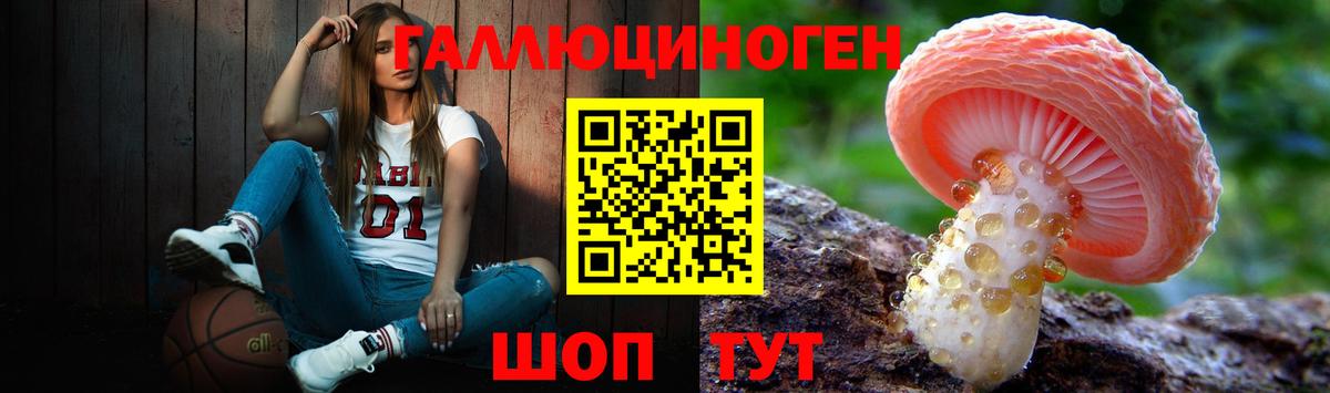 купить наркотик  Вход с VPN  Галлюциногенные грибы мухоморы  Краснознаменск  Псилоцибиновые грибы мухоморы 