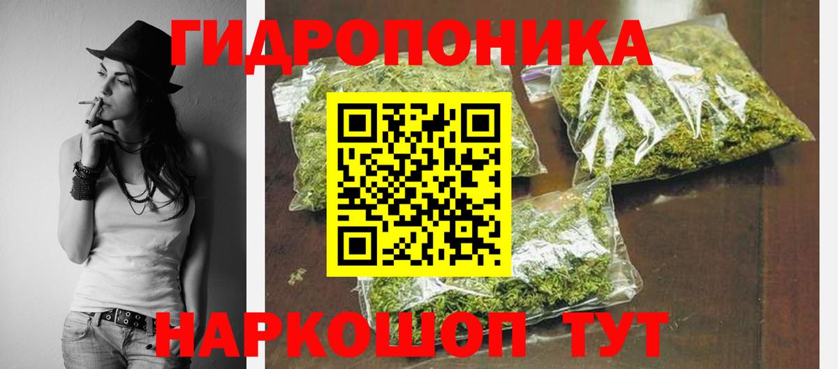 Бошки марихуана сатива Краснознаменск